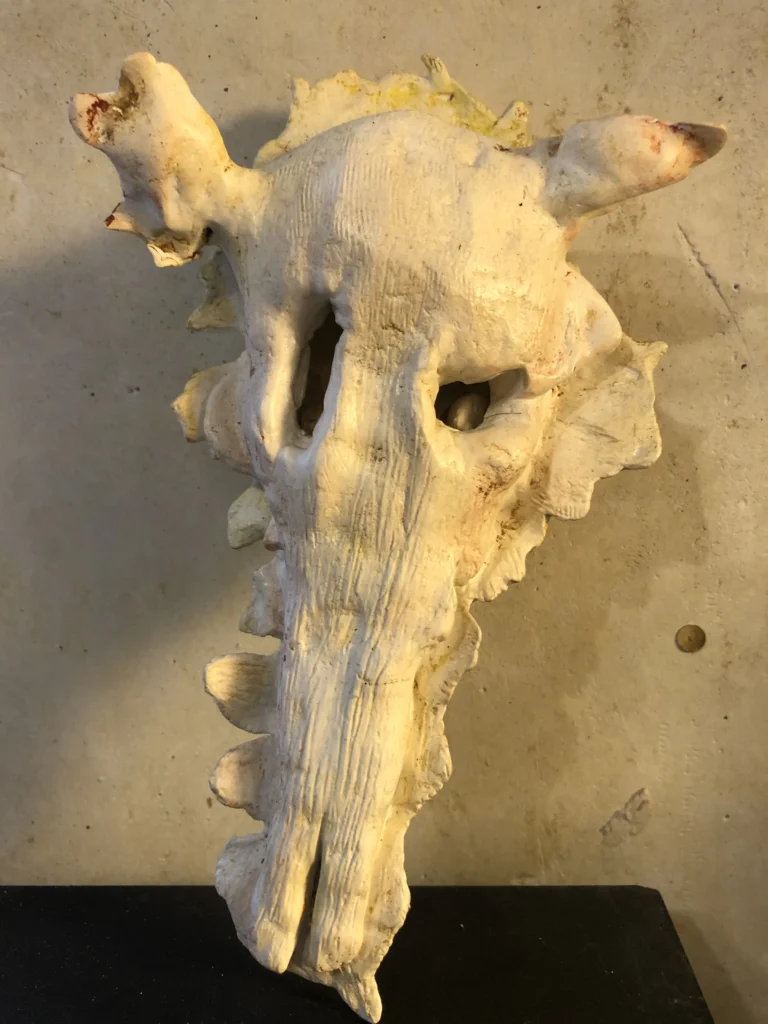 Desertism arch II 2023