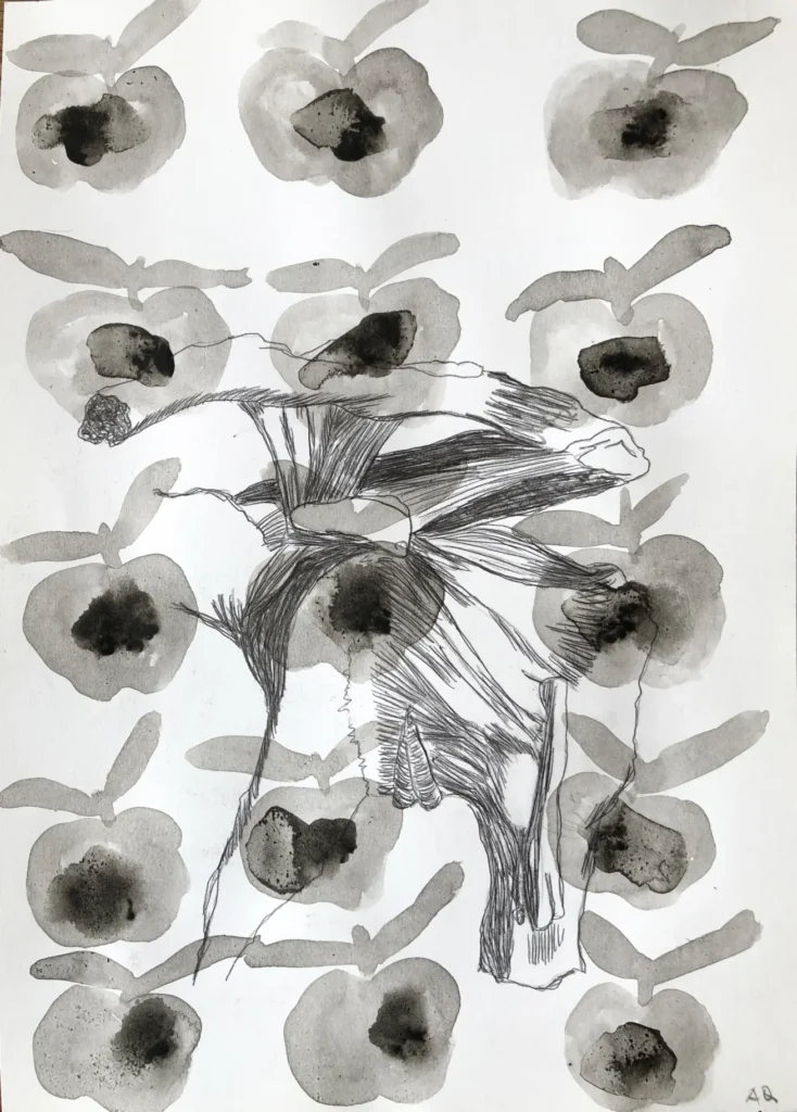 Aufzucht mit Äpfeln 1 2026